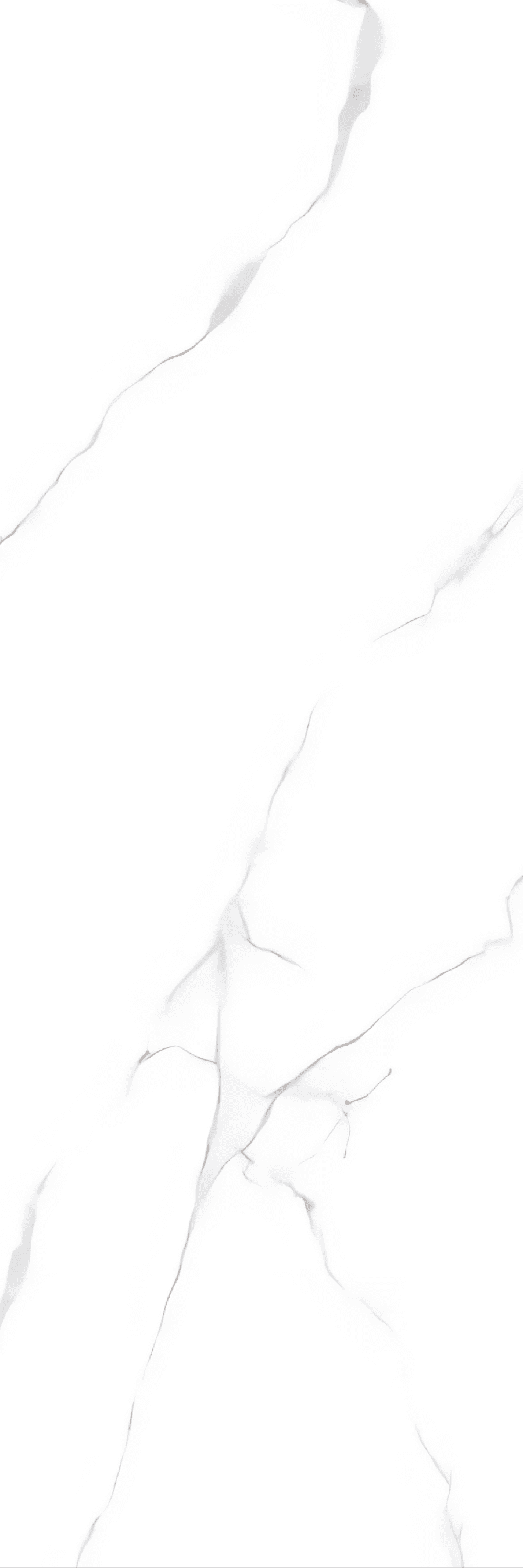 ATLANTIC-WHITE