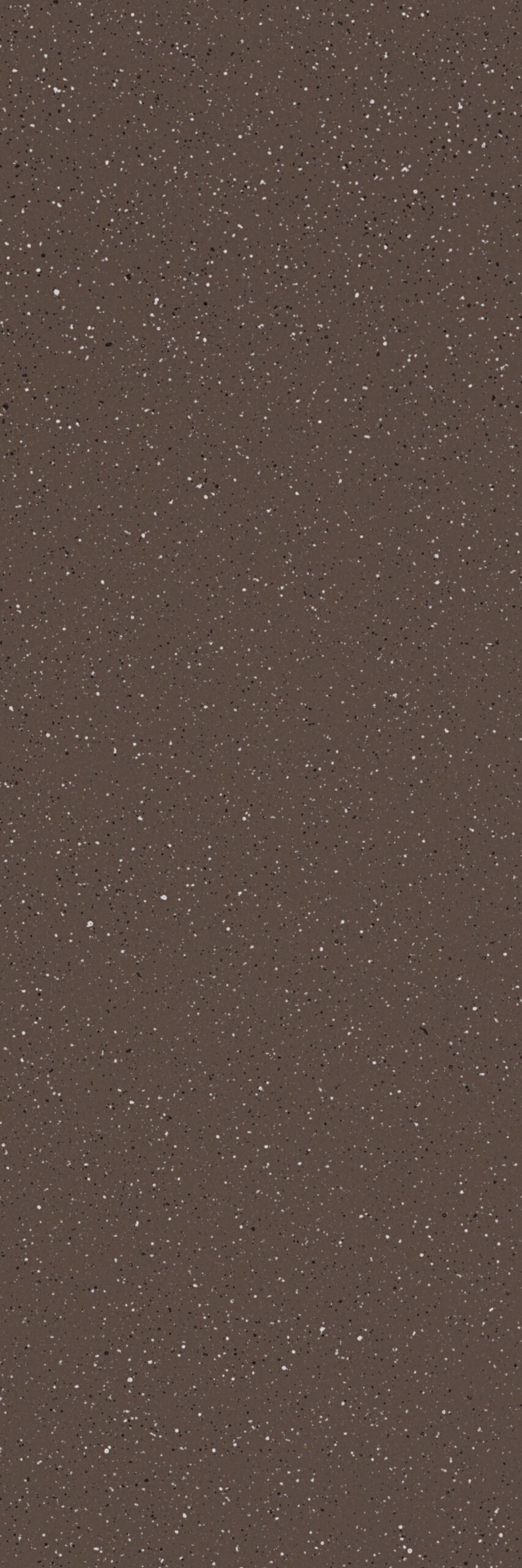 Ferro-chips-2