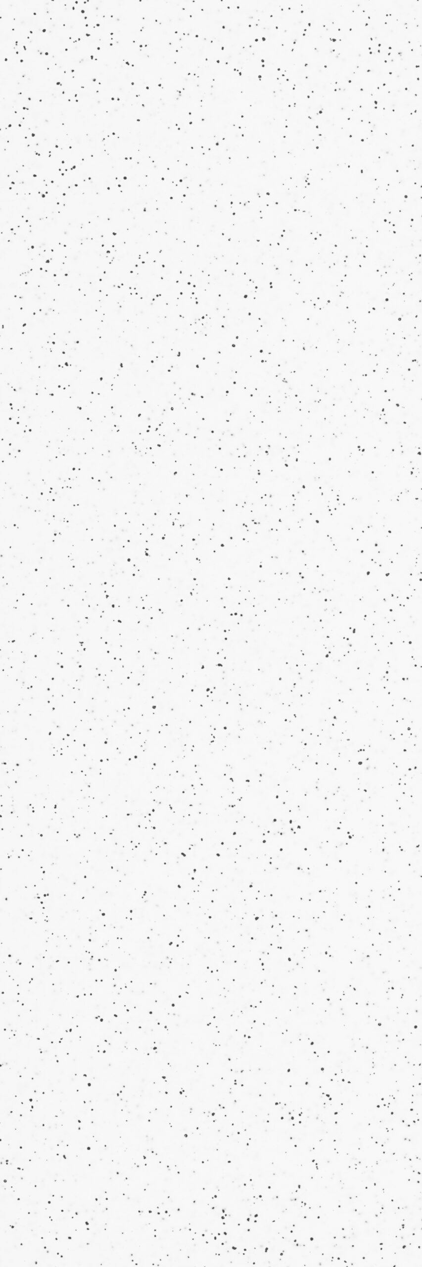 WHITE-PEARL-capa